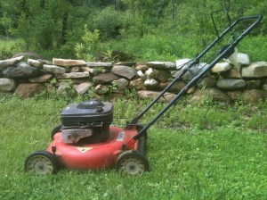 Reliable friend. Photo: JDickson